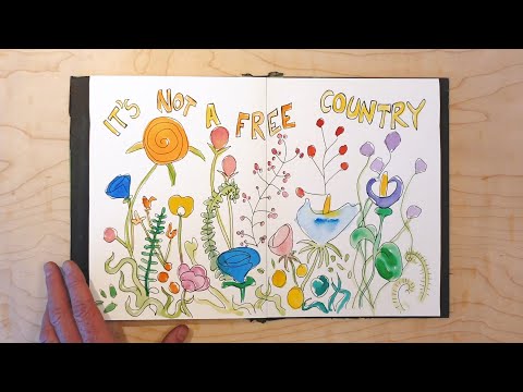 Brett Dennen - Not A Free Country (Official Video)