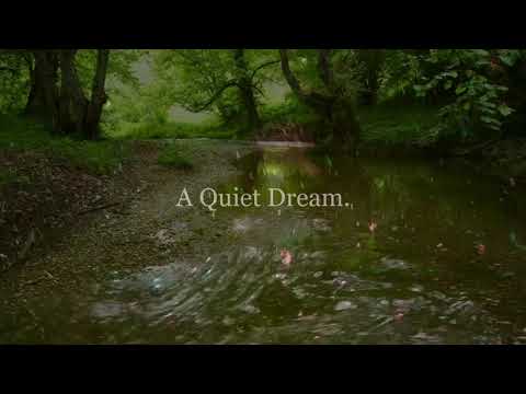 Álvaro Rubio - A Quiet Dream (Official Audio)