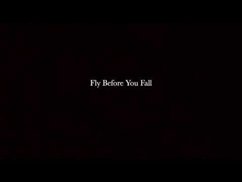 Fly Before You Fall - Cynthia Erivo [cover by kat]