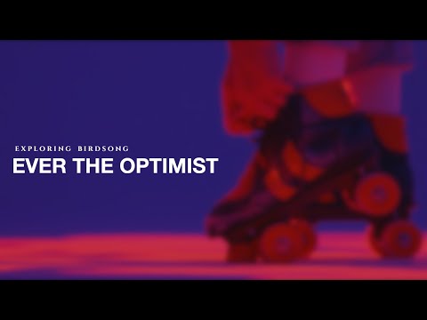 Exploring Birdsong - Ever The Optimist (Official Video)