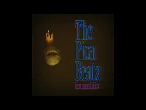 The Pica Beats - Earth And Consequence, from the album Imaginal Disc (2021)