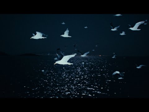 Σtella - Nomad (Official Video)
