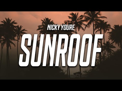 Nicky Youre - Sunroof (Lyrics) feat. dazy