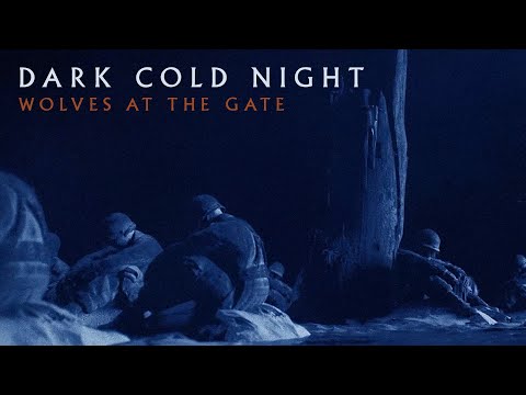 Wolves At The Gate - Dark Cold Night (Official Visualizer)