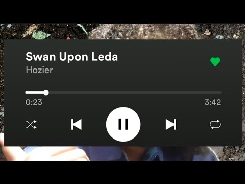 Hozier - Swan Upon Leda (short track reaction or review, sort of)