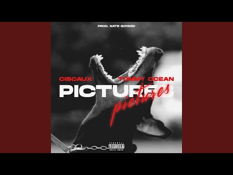 Pictures (feat. Tommy Ocean)