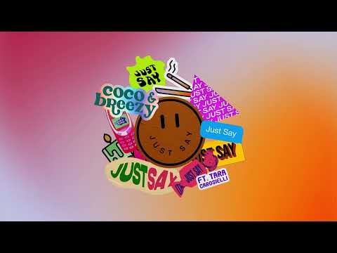 Coco &amp; Breezy - Just Say (ft. Tara Carosielli) [Visualizer]