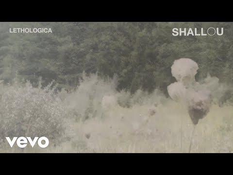 Shallou - Lethologica (Audio)